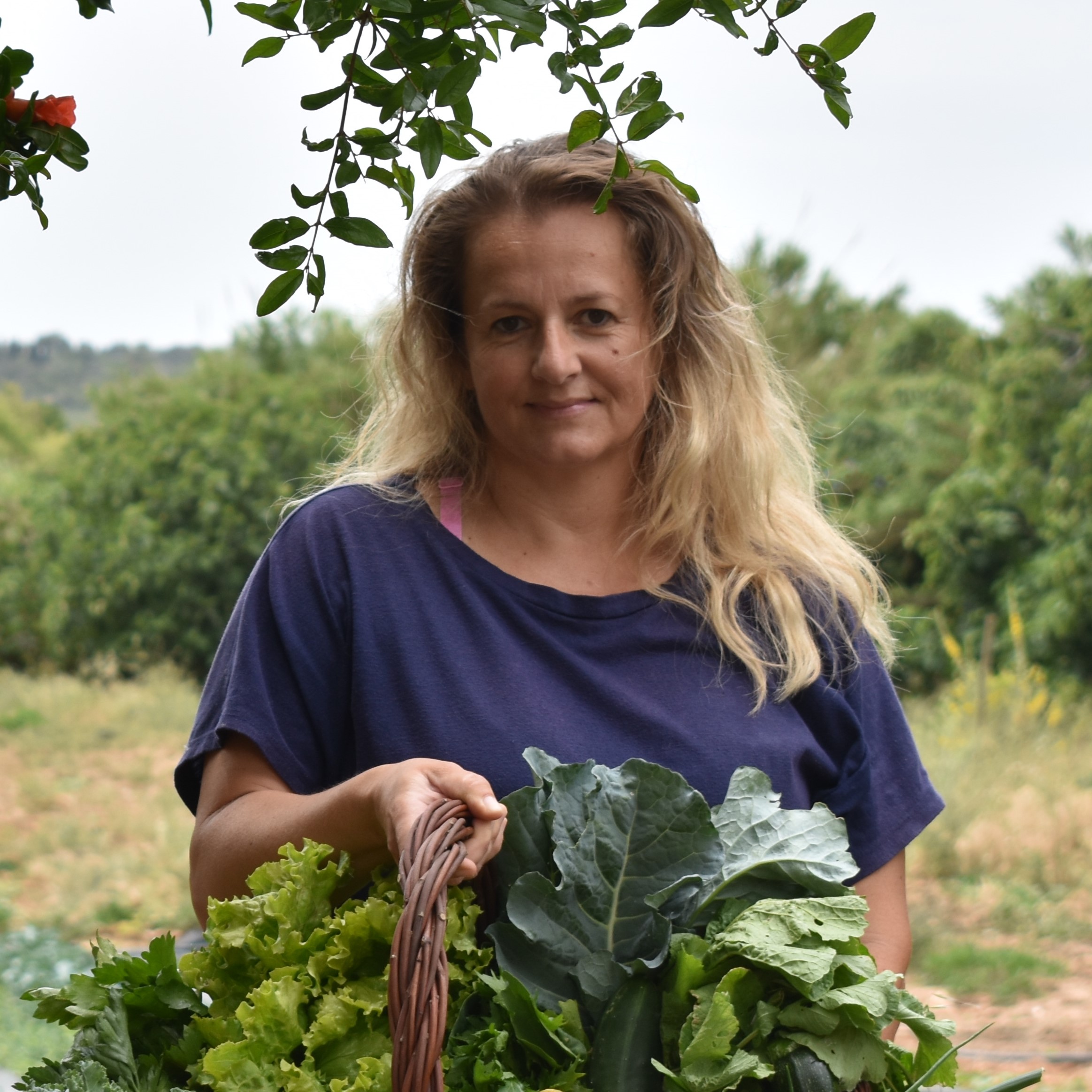 Produtor Local: DORA LOPES Bioadora