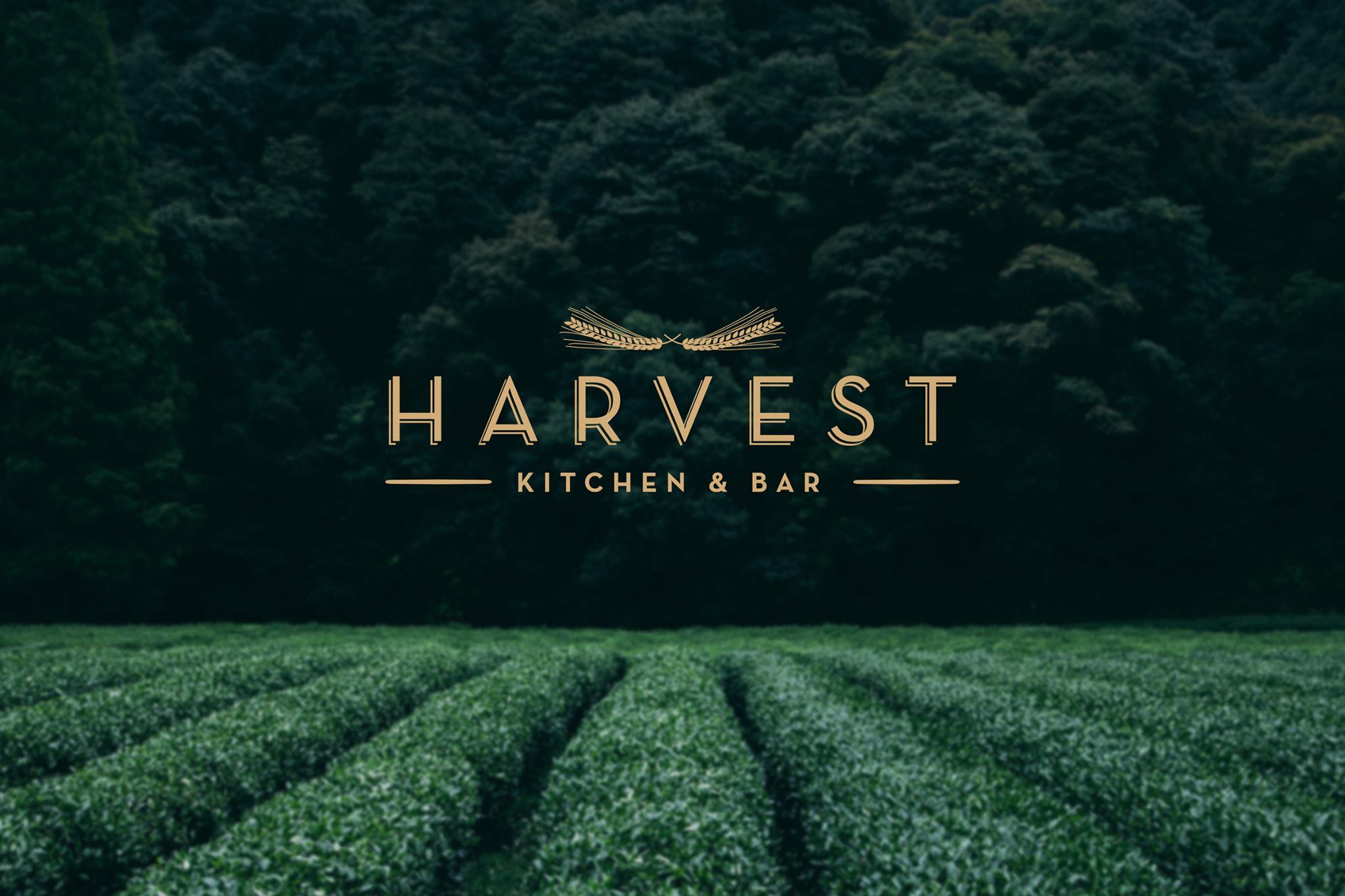 Harvest Kitchen & Bar Loulé Comércio Local