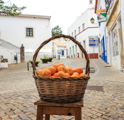 Snack Bar Fonte Nova