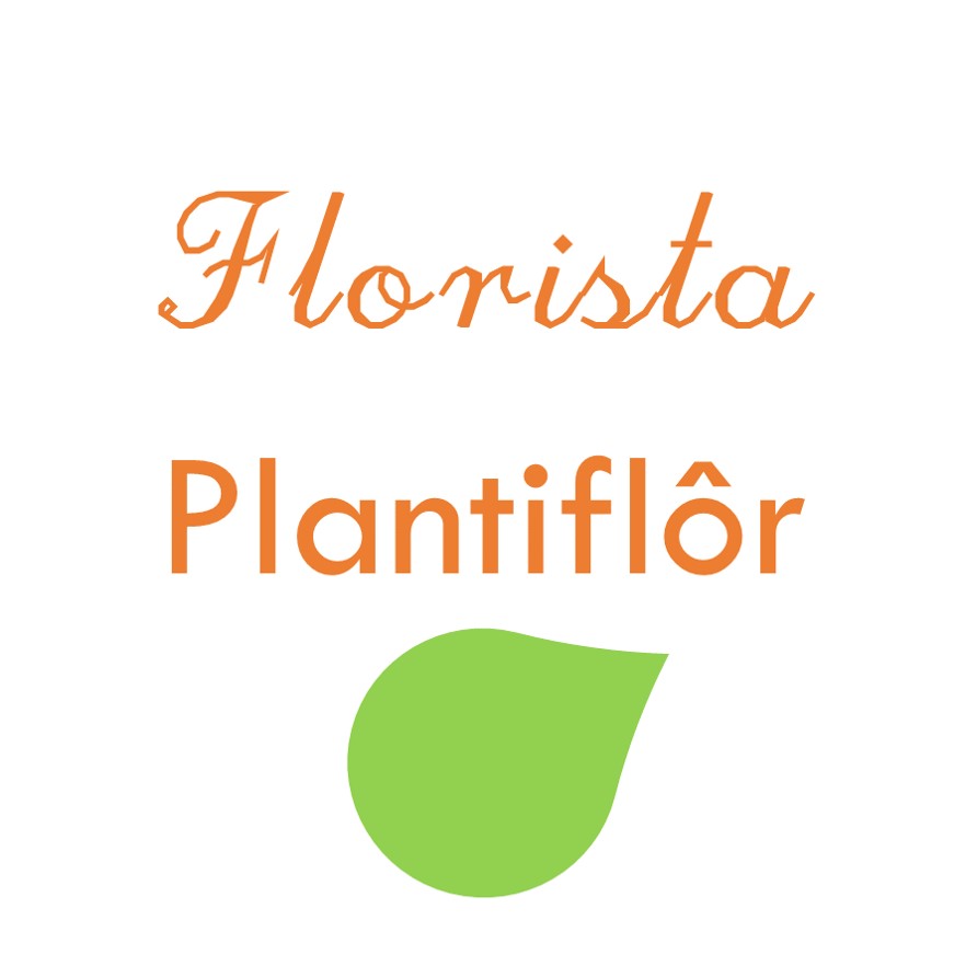 Florista Plantiflôr